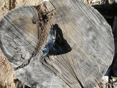 DSCF9965.JPG
