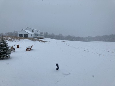 snowing.jpg