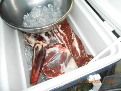 Shoulders, hams, backstraps and trim all goes in a big ice chest.  The box is tilted toward the drain that stays open, ice is added as needed.  Will age for at least 10 days before processing.