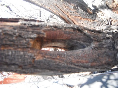 DSCF0120.JPG