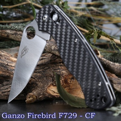 Ganzo Firebird F729 - CF - Labeled.jpg