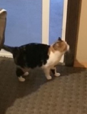 bb.jpg