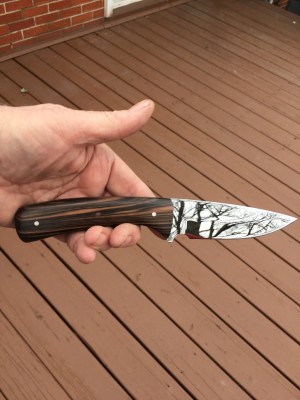 Ebony Scales