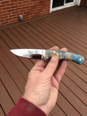 Double dyed stabilized box elder
