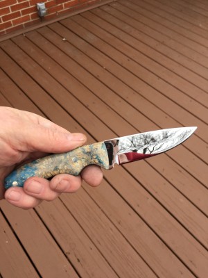 Double dyed stabilized box elder