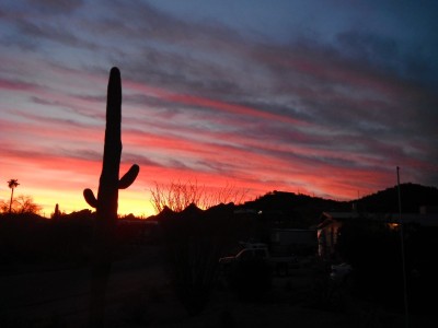DSCF0185.JPG