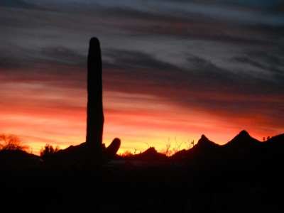 DSCF0190.JPG