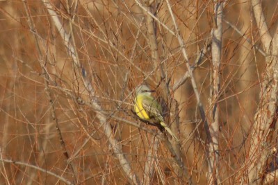 IMG_8897.JPG