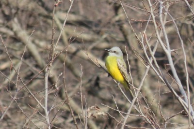 IMG_8902.JPG