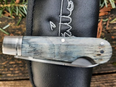 thumbnail_20230117_124612.jpg