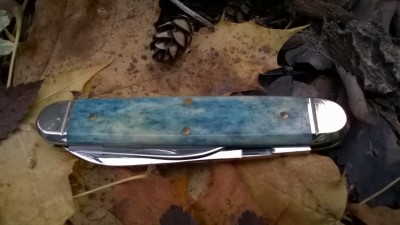 WP_20181113_133.jpg