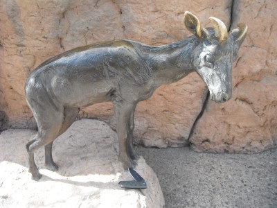 DSCF0516.JPG