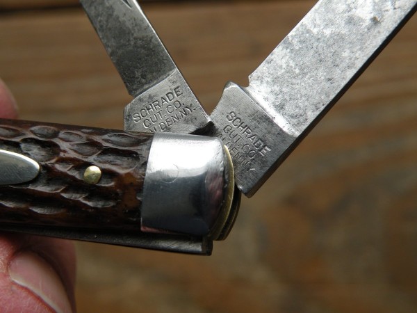 DSCN9774.JPG