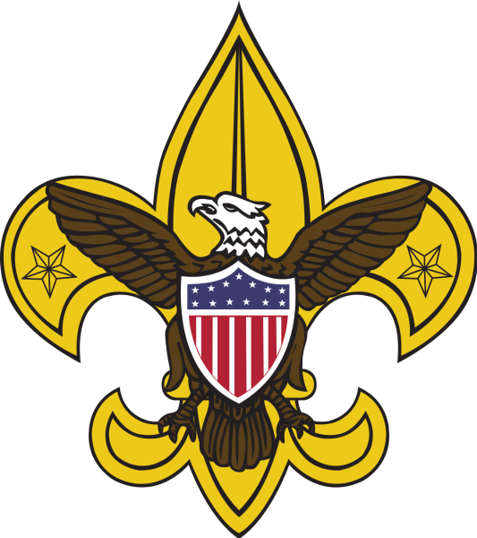BSA Tenderfoot badge