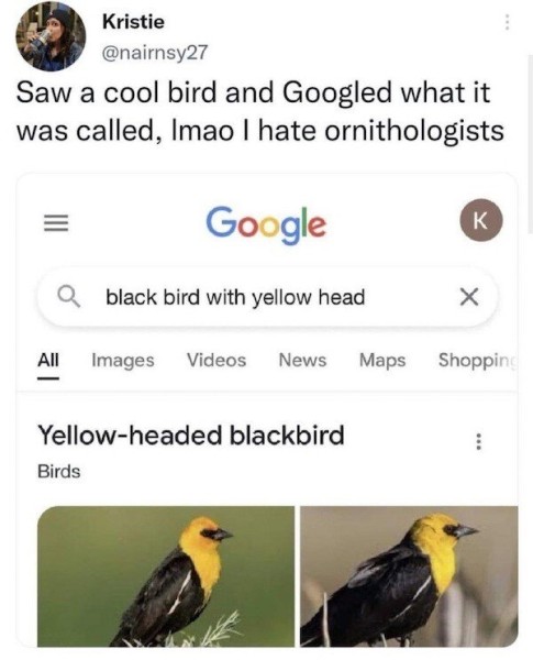 20283685_20_600_742.jpg