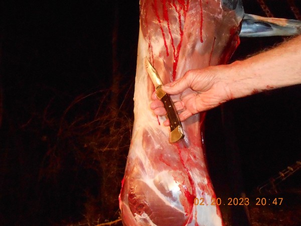 The Buck 110 felt good in the hand, I wonder why I don' use them very often?