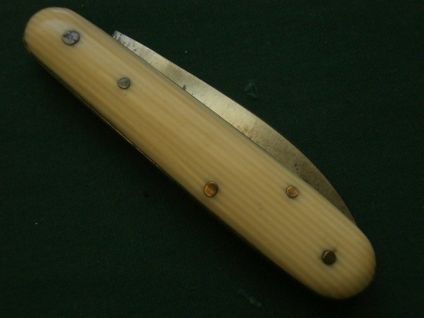 Zenith French Ivory Celluloid.JPG