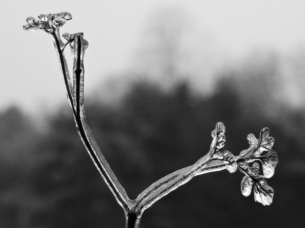 319D4E5C-867B-48DC-8BCD-367005AA06C1.jpeg