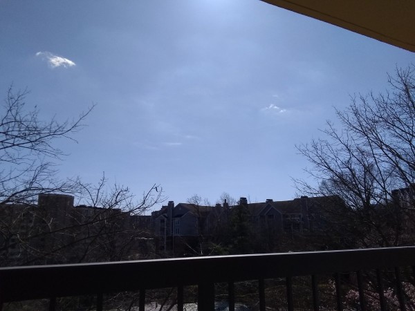IMG_20230305_110815562.jpg