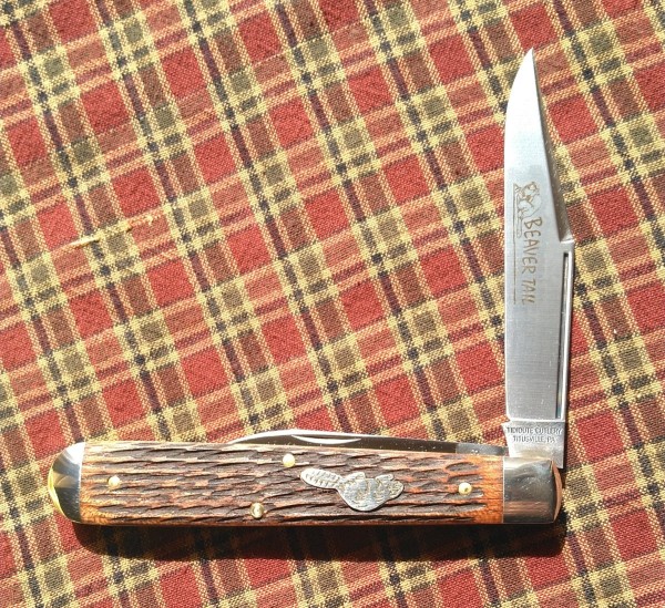 KIMG8127~2.JPG