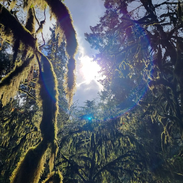 20230306_124546.jpg