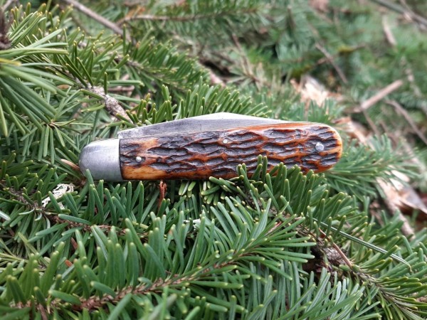 thumbnail_20230307_153240.jpg