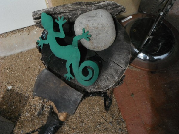 DSCF1562.JPG