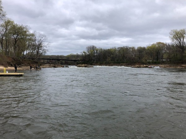 Roanoke River 3-13-23 (10) Weldon NC.jpg