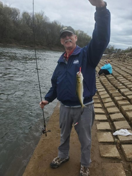 Roanoke River 3-13-23 (14) third Shad in Weldon.JPG
