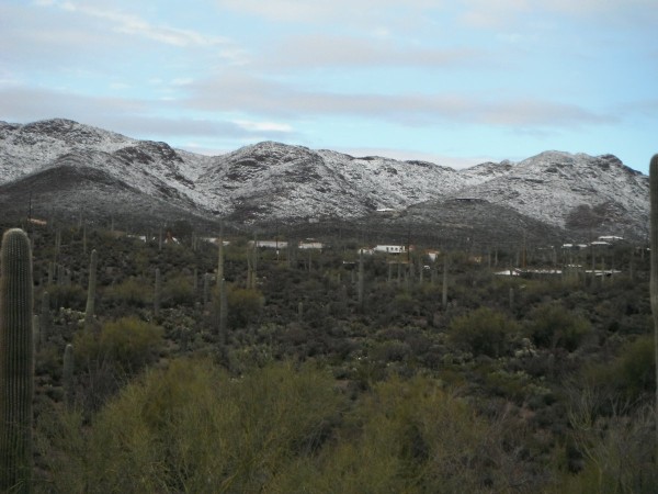 DSCF1412.JPG