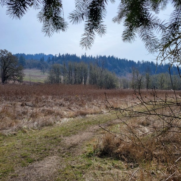 20230318_113809.jpg