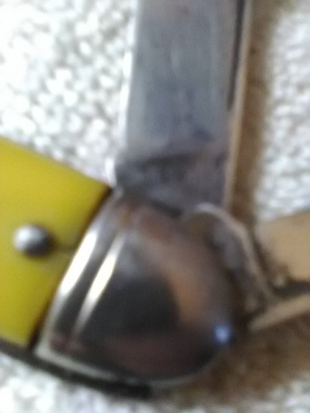 yellow knife