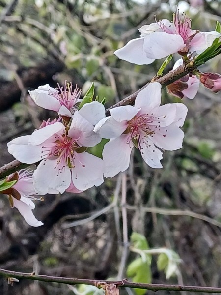 20230320_091417.jpg