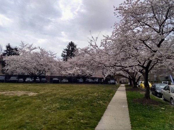 IMG_20230324_072652523_HDR~2.jpg