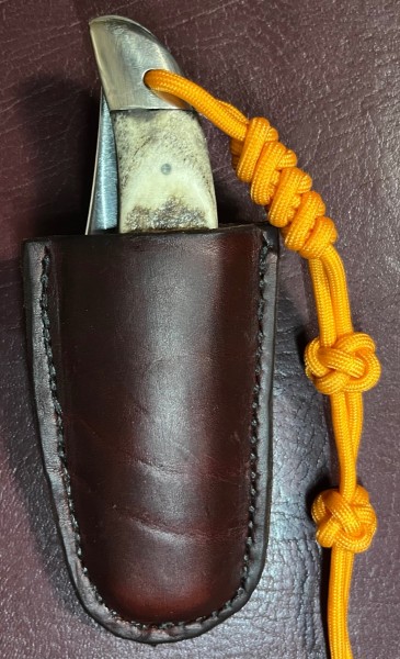 In the sheath