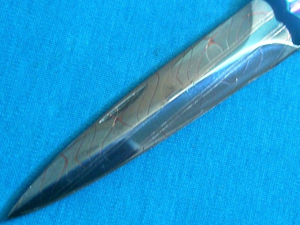 CIMG6768.JPG