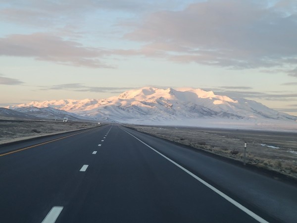 20230405_064352.jpg