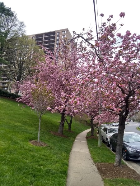 IMG_20230406_164700658_HDR.jpg