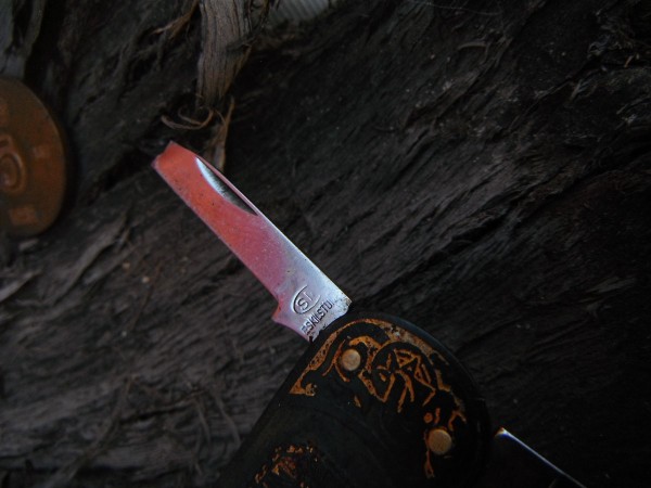DSCF1876.JPG