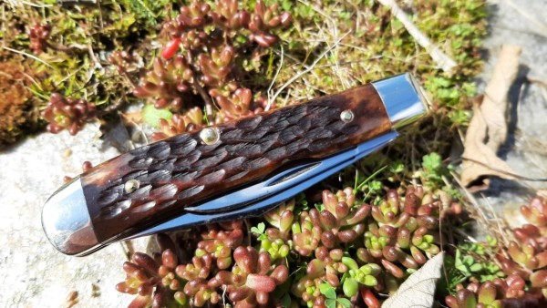 thumbnail_20230411_122003.jpg