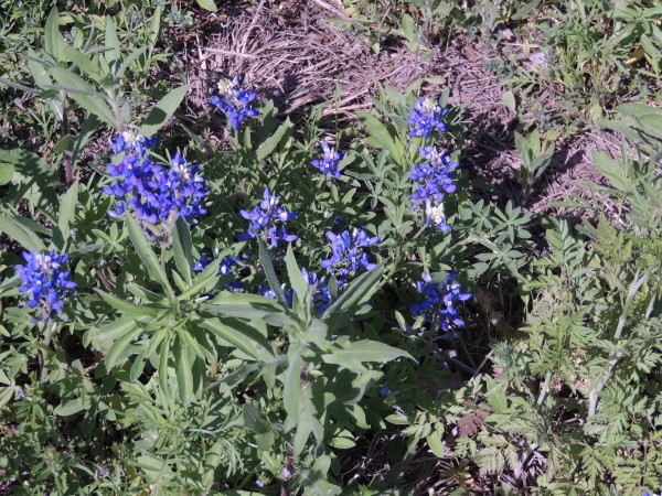 DSCN8156.JPG