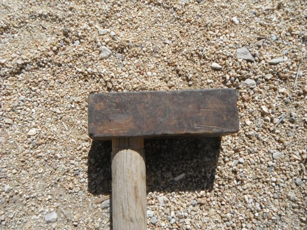 DSCF1762.JPG