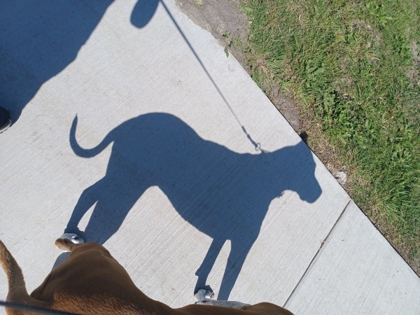 20230415_161501.jpg