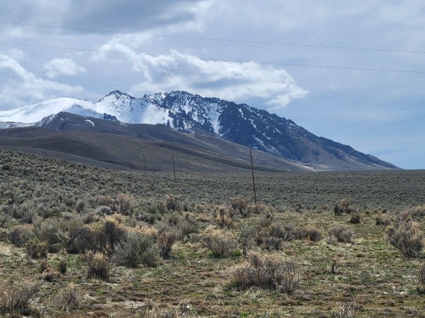 20230411_125540.jpg