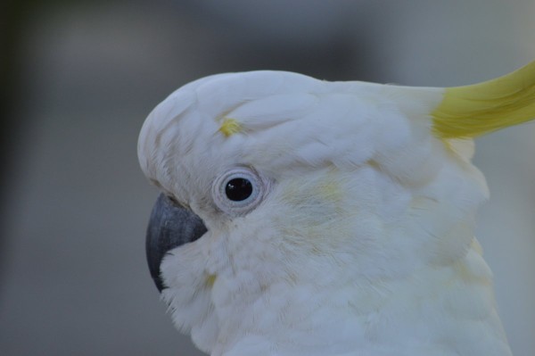 DSC_0035.JPG