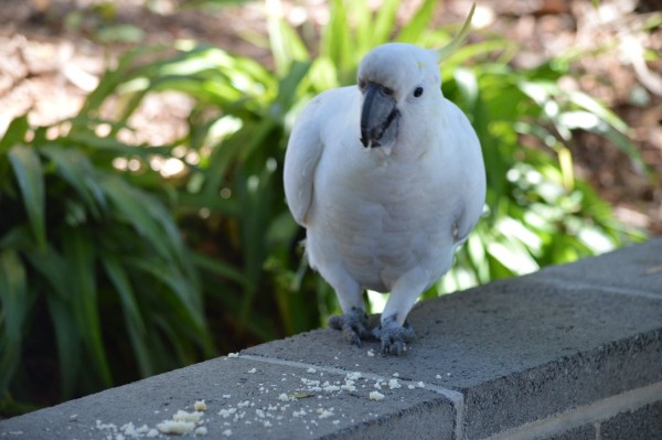 DSC_0042.JPG