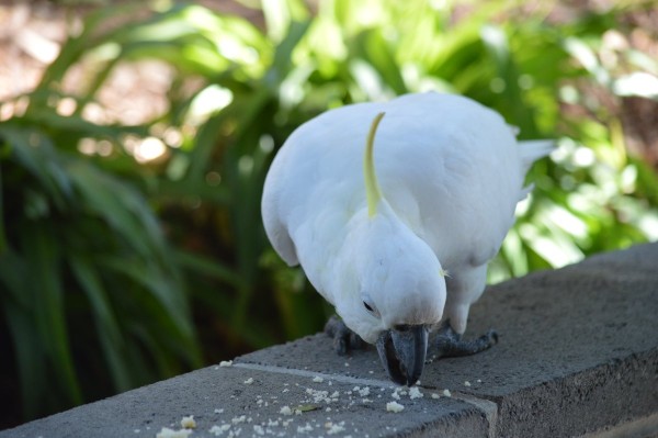 DSC_0046.JPG