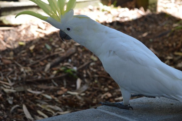 DSC_0048.JPG