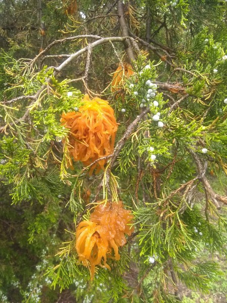 2023-04-29_10-43-26_-_hiking.jpg