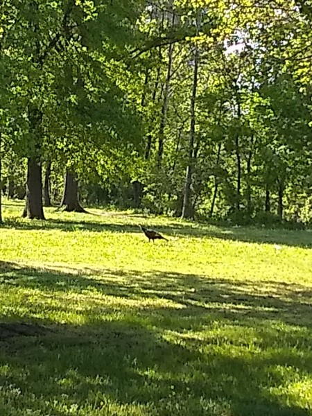 IMG_20230423_093245658.jpg